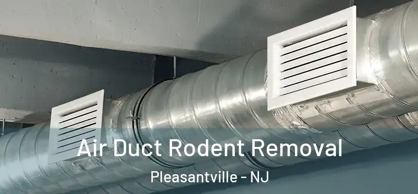 Air Duct Rodent Removal Pleasantville - NJ