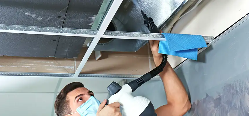 Our Air Duct Rodent Removal Services in Pleasantville, NJ