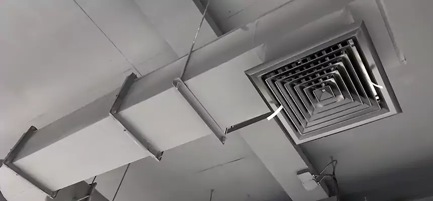 Our Pest Removal From Ducts Services in Pleasantville, NJ