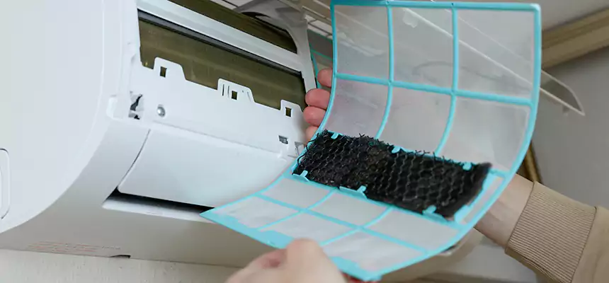 Gentle Ductwork Odor-Control Pet Dander Duct Cleaning in Pleasantville, NJ