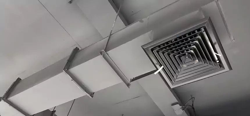 Our Rodent Droppings In Vents Services in Pleasantville, NJ