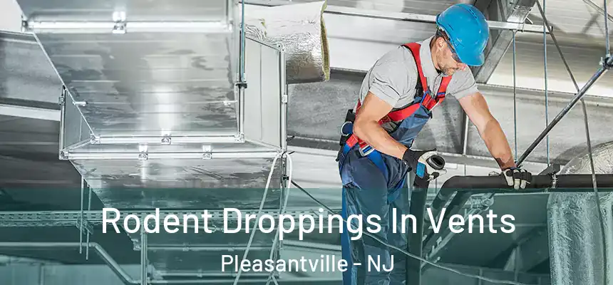  Rodent Droppings In Vents Pleasantville - NJ