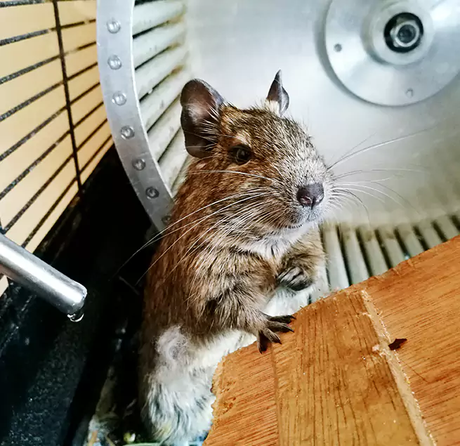 Why Homeowners & Businesses Trust Us Pleasantville, NJ?