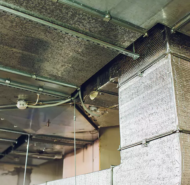 Why Homeowners & Businesses Trust Us in Pleasantville, NJ?